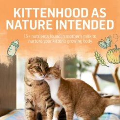 Purina Beyond Chicken & Oatmeal Recipe Dry Kitten Food -Wellness Sales 336842 PT5. AC SS1800 V1700156624