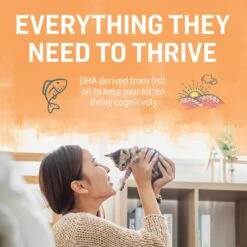 Purina Beyond Chicken & Oatmeal Recipe Dry Kitten Food -Wellness Sales 336842 PT6. AC SS1800 V1700156424