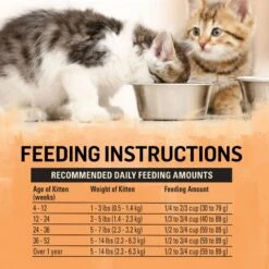 Purina Beyond Chicken & Oatmeal Recipe Dry Kitten Food -Wellness Sales 336842 PT7. AC SS1800 V1700159310