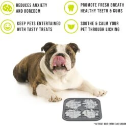 Hyper Pet IQ Enterain Dog & Cat Lick Mat, Gray -Wellness Sales 338384 PT2. AC SS1800 V1634654500