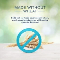 Blue Buffalo Tastefuls Hairball Control Natural Chicken & Brown Rice Recipe Adult 7+ Dry Cat Food & Blue Buffalo Freedom Indoor Mature Chicken Recipe Grain-Free Canned Cat Food 13 Blue Buffalo Tastefuls Hairball Control Natural Chicken & Brown Rice Recipe Adult 7+ Dry Cat Food & Blue Buffalo Freedom Indoor Mature Chicken Recipe Grain-Free Canned Cat Food -Wellness Sales 338657 PT4. AC SS1800 V1635911167