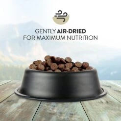 Addiction Grain-Free Salmon Bleu Dry Cat Food -Wellness Sales 342113 PT2. AC SS1800 V1635794487