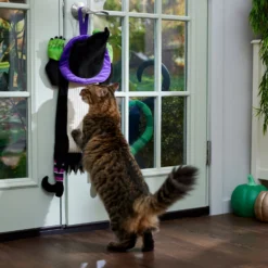 Frisco Halloween Witch Doorknob Hanger Cat Toy With Catnip 8 Frisco Halloween Witch Doorknob Hanger Cat Toy With Catnip -Wellness Sales 344092 PT3. AC SS1800 V1657657035
