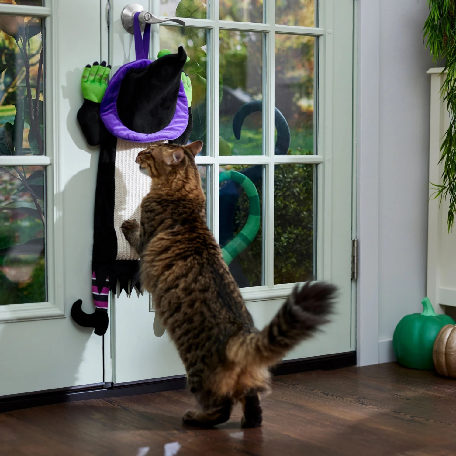 Frisco Halloween Witch Doorknob Hanger Cat Toy With Catnip 4 Frisco Halloween Witch Doorknob Hanger Cat Toy With Catnip - Image 4