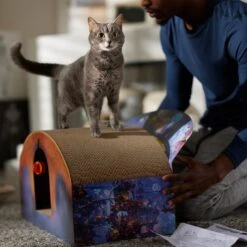 Pixar Coco Marigold Bridge Scratcher Cat Toy -Wellness Sales 344557 PT3. AC SS1800 V1689878513