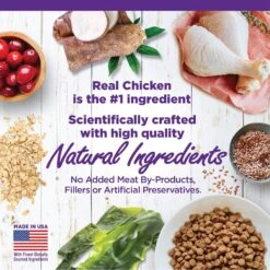 Wellness Complete Health Kitten Deboned Chicken, Chicken Meal & Rice Dry Cat Food, 5-lb Bag -Wellness Sales 347667 PT2. AC SS1800 V1638459111