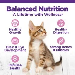 Wellness Complete Health Kitten Deboned Chicken, Chicken Meal & Rice Dry Cat Food, 5-lb Bag -Wellness Sales 347667 PT3. AC SS1800 V1638466048