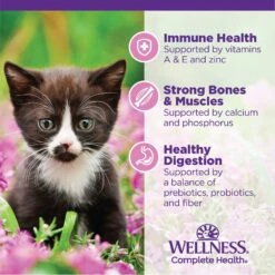 Wellness Complete Health Kitten Deboned Chicken, Chicken Meal & Rice Dry Cat Food, 5-lb Bag -Wellness Sales 347667 PT4. AC SS1800 V1638468096