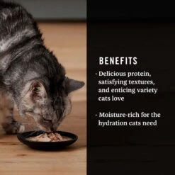 Fancy Feast Classic Seafood Feast Variety Pack Canned Cat Food & American Journey Landmark Broths Seafood Variety Pack Wet Cat Food Complement Pouches -Wellness Sales 353371 PT8. AC SS1800 V1639527992