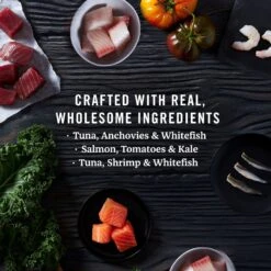 Fancy Feast Flaked Fish & Shrimp Feast Canned Cat Food & American Journey Landmark Broths Seafood Variety Pack Wet Cat Food Complement Pouches 16 Fancy Feast Flaked Fish & Shrimp Feast Canned Cat Food & American Journey Landmark Broths Seafood Variety Pack Wet Cat Food Complement Pouches -Wellness Sales 353376 PT7. AC SS1800 V1703617636