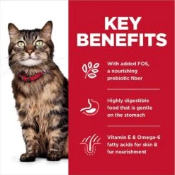 Hill's Science Diet Adult Sensitive Stomach & Sensitive Skin Chicken & Rice Recipe Dry Cat Food & Hill's Science Diet Adult Urinary Hairball Control Savory Chicken Entree Canned Cat Food -Wellness Sales 353412 PT4. AC SS1800 V1639535205