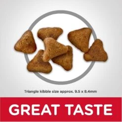 Hill's Science Diet Adult Indoor Chicken Recipe Dry Cat Food & Hill's Science Diet Adult Healthy Cuisine Roasted Chicken & Rice Medley Canned Cat Food 12 Hill's Science Diet Adult Indoor Chicken Recipe Dry Cat Food & Hill's Science Diet Adult Healthy Cuisine Roasted Chicken & Rice Medley Canned Cat Food -Wellness Sales 353419 PT3. AC SS1800 V1639535548