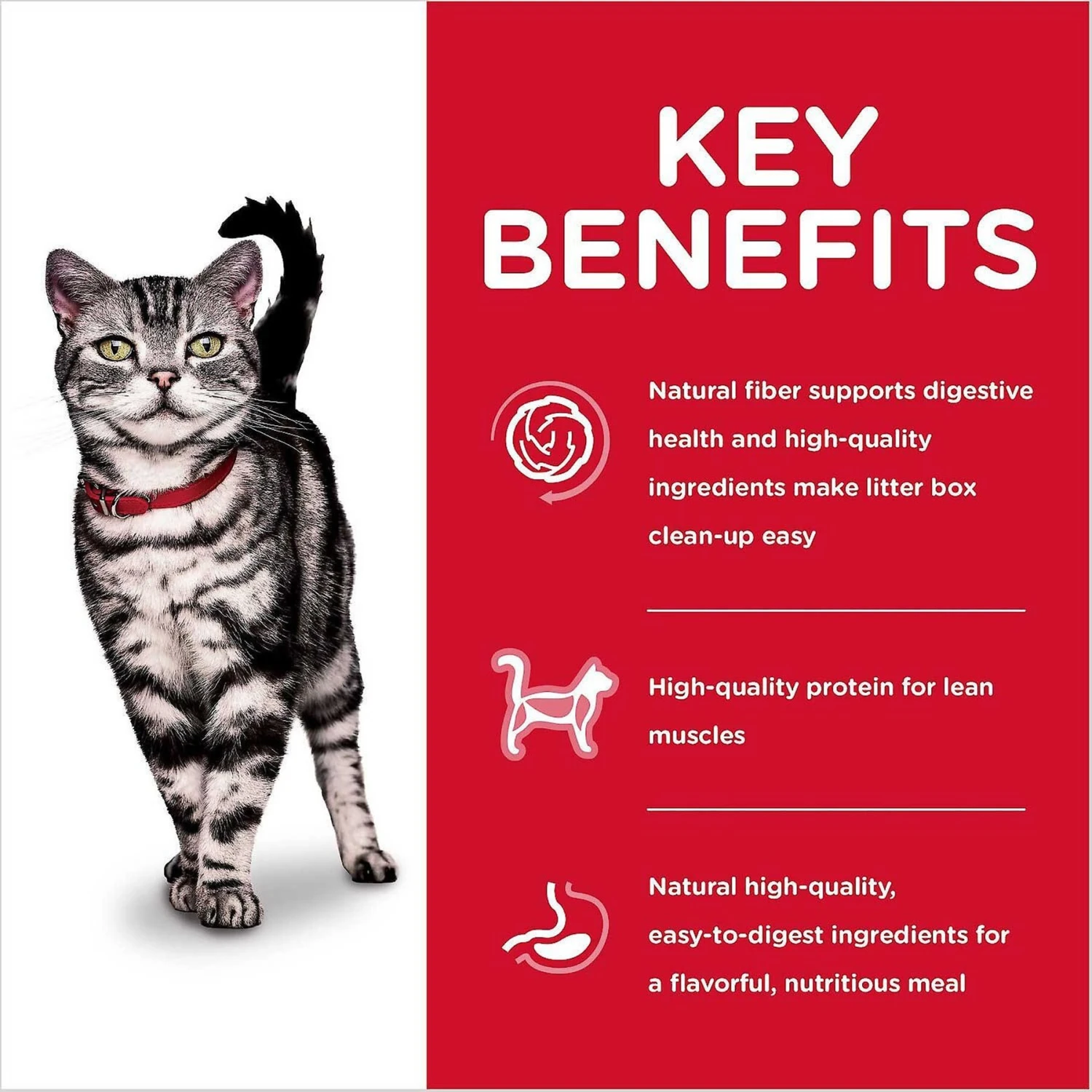 Hill's Science Diet Adult Indoor Chicken Recipe Dry Cat Food & Hill's Science Diet Adult Healthy Cuisine Roasted Chicken & Rice Medley Canned Cat Food 5 Hill's Science Diet Adult Indoor Chicken Recipe Dry Cat Food & Hill's Science Diet Adult Healthy Cuisine Roasted Chicken & Rice Medley Canned Cat Food - Image 5