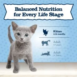 Blue Buffalo Baby Blue Healthy Growth Formula Natural Chicken & Brown Rice Recipe Kitten Dry Food -Wellness Sales 354156 PT7. AC SS1800 V1641340028