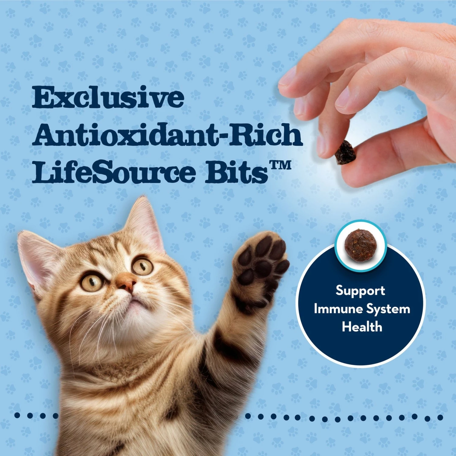 Blue Buffalo Baby Blue Healthy Growth Formula Grain-Free High Protein Chicken & Pea Recipe Kitten Dry Food 7 Blue Buffalo Baby Blue Healthy Growth Formula Grain-Free High Protein Chicken & Pea Recipe Kitten Dry Food - Image 7