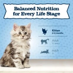 Blue Buffalo Baby Blue Healthy Growth Formula Grain-Free High Protein Chicken & Pea Recipe Kitten Dry Food 15 Blue Buffalo Baby Blue Healthy Growth Formula Grain-Free High Protein Chicken & Pea Recipe Kitten Dry Food -Wellness Sales 354158 PT7. AC SS1800 V1641334592