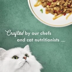 Fancy Feast Medleys In Gravy Beef Ragu Recipe With Tomatoes & Pasta In A Savory Sauce Wet Cat Food, 3-oz Can, Case Of 24 -Wellness Sales 354300 PT3. AC SS1800 V1640317328