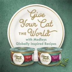 Fancy Feast Medleys In Gravy Beef Ragu Recipe With Tomatoes & Pasta In A Savory Sauce Wet Cat Food, 3-oz Can, Case Of 24 -Wellness Sales 354300 PT5. AC SS1800 V1640316717