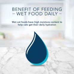 Blue Buffalo Tastefuls Savory Singles Chicken Entrée Cuts In Gravy Adult Cat Food, 2.6-oz Cup, Case Of 24 -Wellness Sales 354421 PT8. AC SS1800 V1642009056