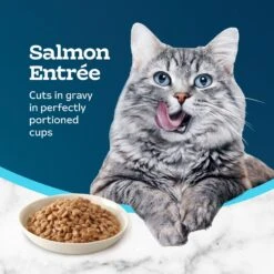 Blue Buffalo Tastefuls Savory Singles Salmon Entrée Cuts In Gravy Adult Cat Food, 2.6-oz Cup, Case Of 24 -Wellness Sales 354423 PT3. AC SS1800 V1642015292