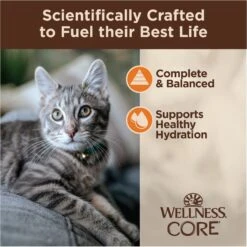 Wellness Tiny Tasters Chicken Grain-Free Minced Wet Cat Food, 1.75-oz Pouch, Case Of 12 -Wellness Sales 363905 PT3. AC SS1800 V1695832224