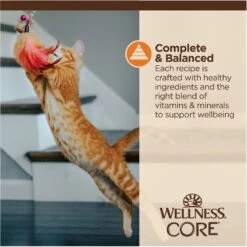 Wellness Tiny Tasters Chicken Grain-Free Minced Wet Cat Food, 1.75-oz Pouch, Case Of 12 -Wellness Sales 363905 PT6. AC SS1800 V1695845887