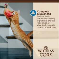 Wellness CORE Tiny Tasters Tuna & Shrimp Grain-Free Flaked Wet Cat Food, 1.75-oz Pouch, Case Of 12 -Wellness Sales 363911 PT6. AC SS1800 V1695845856