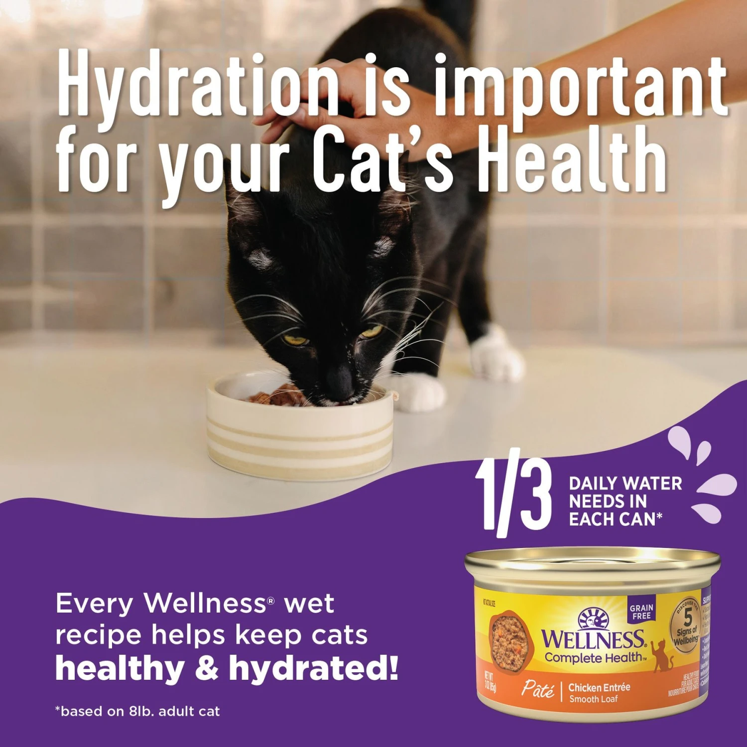 Wellness Complete Health Age Advantage Chicken Pate Wet Cat Food 4 Wellness Complete Health Age Advantage Chicken Pate Wet Cat Food - Image 4