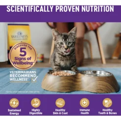 Wellness Complete Health Age Advantage Chicken Pate Wet Cat Food 13 Wellness Complete Health Age Advantage Chicken Pate Wet Cat Food -Wellness Sales 363921 PT4. AC SS1800 V1643225243