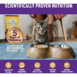 Wellness Complete Health Age Advantage Tuna & Salmon Pate Wet Cat Food -Wellness Sales 363923 PT4. AC SS1800 V1643225487