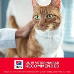 Hill's Science Diet Adult Sensitive Stomach & Sensitive Skin Chicken & Beef Canned Cat Food, 2.8-oz Pouch, Case Of 24 -Wellness Sales 364089 PT5. AC SS1800 V1643907086