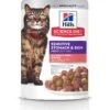 Hill's Science Diet Adult Sensitive Stomach & Skin Salmon & Tuna Wet Cat Food