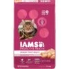 Iams ProActive Health Urinary Tract Health With Chicken Adult Dry Cat Food