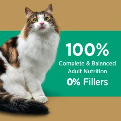 Iams Proactive Health Long Hair Care With Real Chicken & Salmon Adult Dry Cat Food -Wellness Sales 371377 PT2. AC SS1800 V1648500743