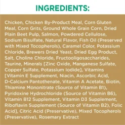 Iams Proactive Health Long Hair Care With Real Chicken & Salmon Adult Dry Cat Food -Wellness Sales 371377 PT5. AC SS1800 V1648515387