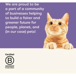 Applaws Kitten Variety Pack Wet Cat Food, 2.47-oz, Case Of 6 -Wellness Sales 373451 PT6. AC SS1800 V1649459790