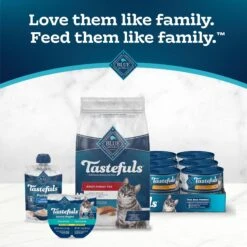 Blue Buffalo Tastefuls Indoor Natural Salmon & Brown Rice Adult Dry Cat Food -Wellness Sales 46885 PT8. AC SS1800 V1694184666