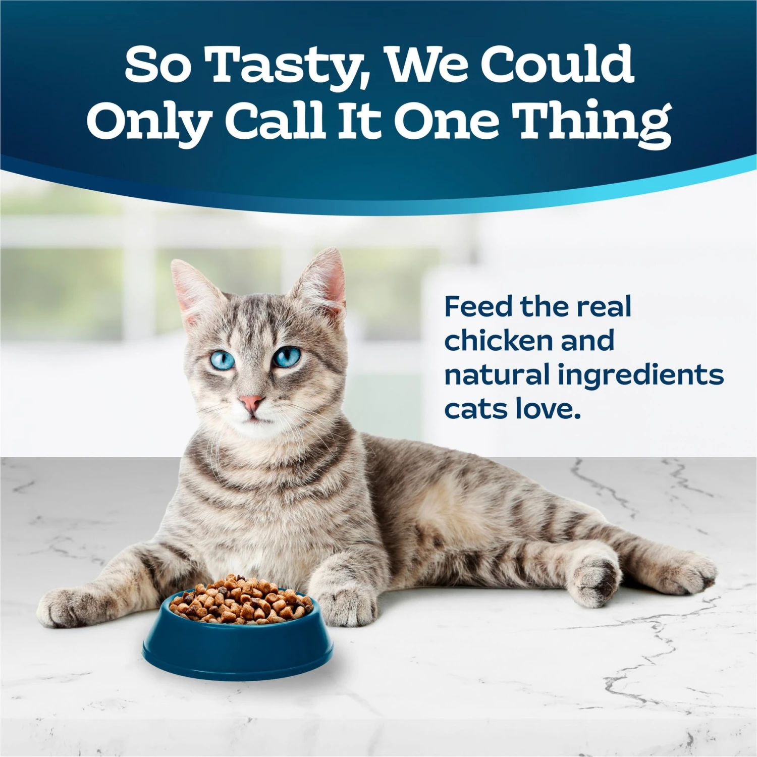 Blue Buffalo Tastefuls Natural Chicken Adult 7+ Dry Cat Food 3 Blue Buffalo Tastefuls Natural Chicken Adult 7+ Dry Cat Food - Image 3