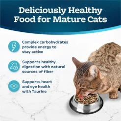 Blue Buffalo Tastefuls Natural Chicken Adult 7+ Dry Cat Food 12 Blue Buffalo Tastefuls Natural Chicken Adult 7+ Dry Cat Food -Wellness Sales 46910 PT3. AC SS1800 V1692642200