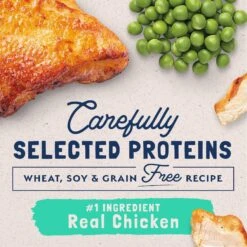 Natural Balance L.I.D. Limited Ingredient Diets Green Pea & Chicken Formula Grain-Free Dry Cat Food 10 Natural Balance L.I.D. Limited Ingredient Diets Green Pea & Chicken Formula Grain-Free Dry Cat Food -Wellness Sales 48051 PT3. AC SS1800 V1668457300