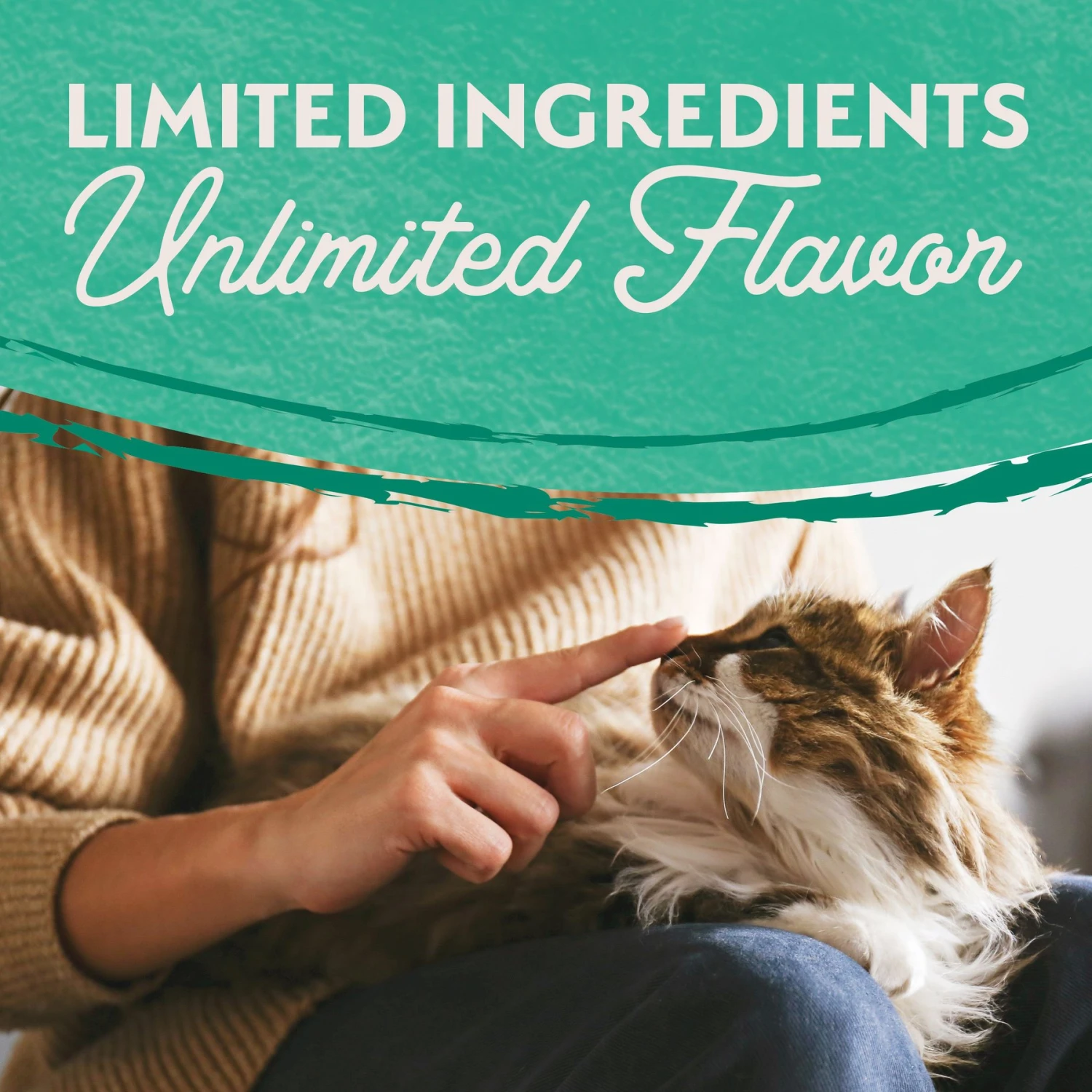 Natural Balance L.I.D. Limited Ingredient Diets Green Pea & Chicken Formula Grain-Free Dry Cat Food 5 Natural Balance L.I.D. Limited Ingredient Diets Green Pea & Chicken Formula Grain-Free Dry Cat Food - Image 5