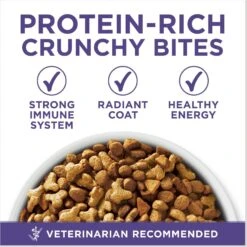 Purina ONE +Plus Hairball Formula Natural Adult Dry Cat Food -Wellness Sales 48650 PT2. AC SS1800 V1677531400