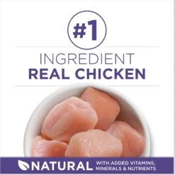 Purina ONE +Plus Hairball Formula Natural Adult Dry Cat Food -Wellness Sales 48650 PT3. AC SS1800 V1677531456