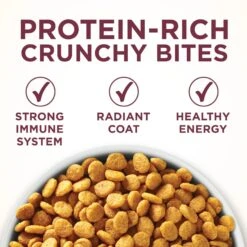 Purina ONE +Plus Urinary Tract Health Formula High Protein Adult Dry Cat Food 11 Purina ONE +Plus Urinary Tract Health Formula High Protein Adult Dry Cat Food -Wellness Sales 48651 PT2. AC SS1800 V1657657678