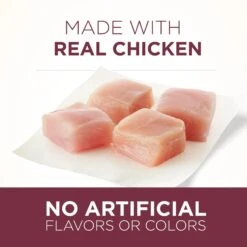 Purina ONE +Plus Urinary Tract Health Formula High Protein Adult Dry Cat Food 12 Purina ONE +Plus Urinary Tract Health Formula High Protein Adult Dry Cat Food -Wellness Sales 48651 PT3. AC SS1800 V1653407782