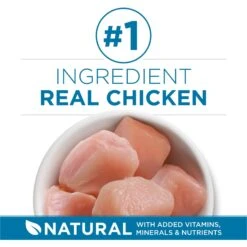 Purina ONE Indoor Advantage Senior 7+ High Protein Natural Dry Cat Food 11 Purina ONE Indoor Advantage Senior 7+ High Protein Natural Dry Cat Food -Wellness Sales 48658 PT2. AC SS1800 V1674845105