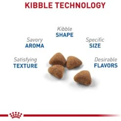 Royal Canin Feline Health Nutrition Indoor Adult Dry Cat Food -Wellness Sales 48674 PT3. AC SS1800 V1697753707