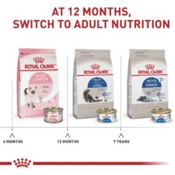 Royal Canin Feline Health Nutrition Indoor Adult Dry Cat Food -Wellness Sales 48674 PT6. AC SS1800 V1697754630
