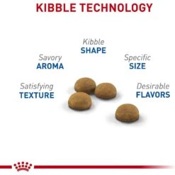 Royal Canin Feline Health Nutrition Indoor Long Hair Adult Dry Cat Food -Wellness Sales 48726 PT2. AC SS1800 V1697761938