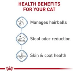 Royal Canin Feline Health Nutrition Indoor Long Hair Adult Dry Cat Food -Wellness Sales 48726 PT3. AC SS1800 V1697762324